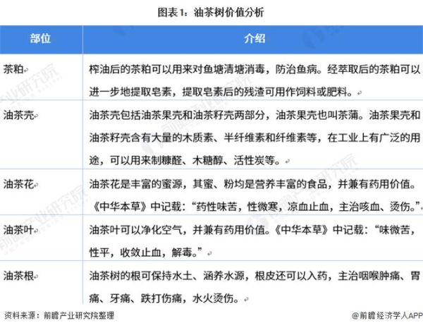 茶油市场前景怎么样_茶油投资赚钱吗