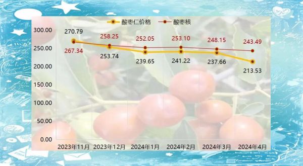 酸枣种植前景怎么样_酸枣仁价格走势