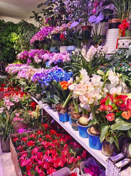 花卉市场前景如何_花卉行业赚钱吗