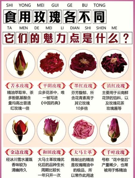 食用玫瑰前景怎么样_食用玫瑰种植赚钱吗