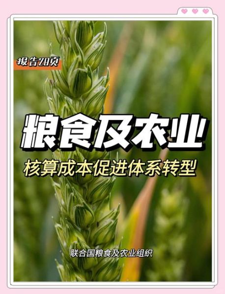 粮食投资前景怎么样_粮食投资有哪些风险