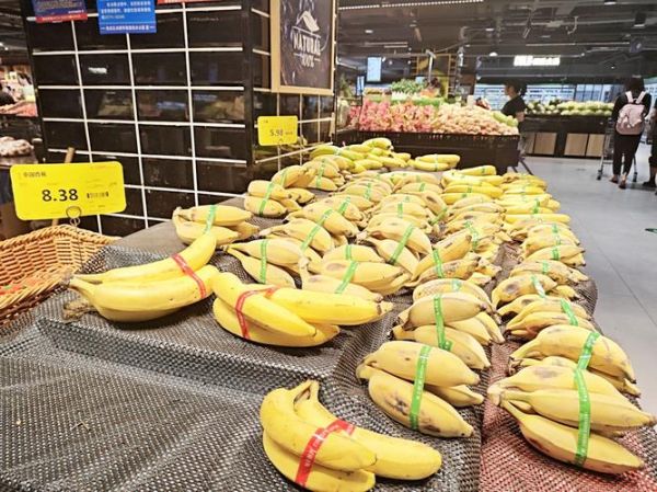 香蕉种植前景怎么样_香蕉市场未来五年会涨价吗
