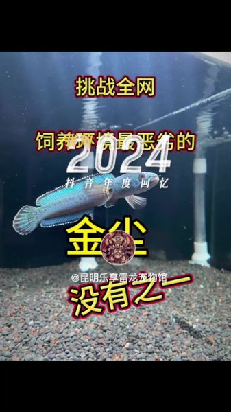 水族行业前景怎么样_2024年还能入场吗